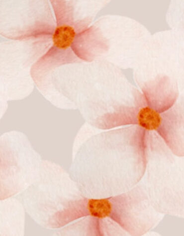 Mystery Blossom Box number 1