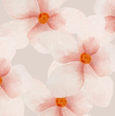 Mystery Blossom Box number 1